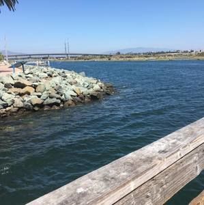 Meet your Posher, Latoya